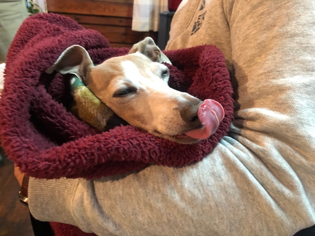 f:id:gino-ig:20220212232423j:plain