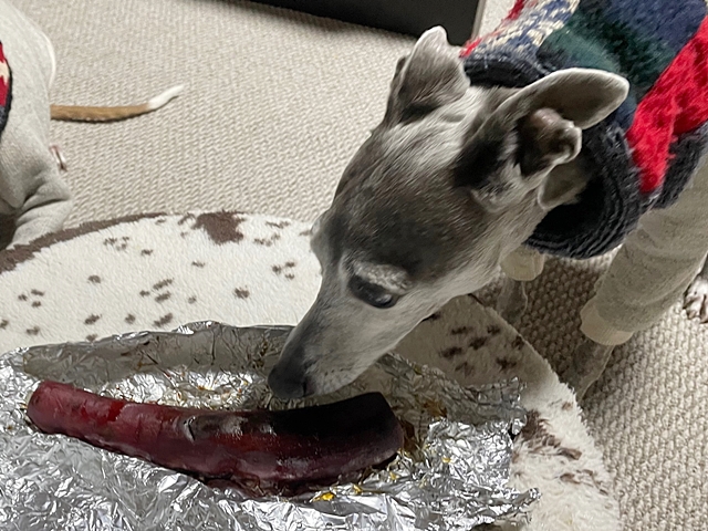 f:id:gino-ig:20220215223527j:plain