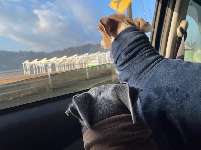 f:id:gino-ig:20220216234054j:plain