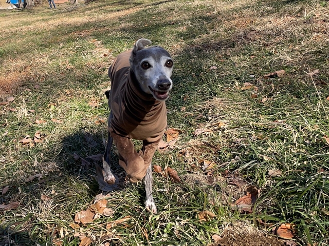 f:id:gino-ig:20220304235511j:plain