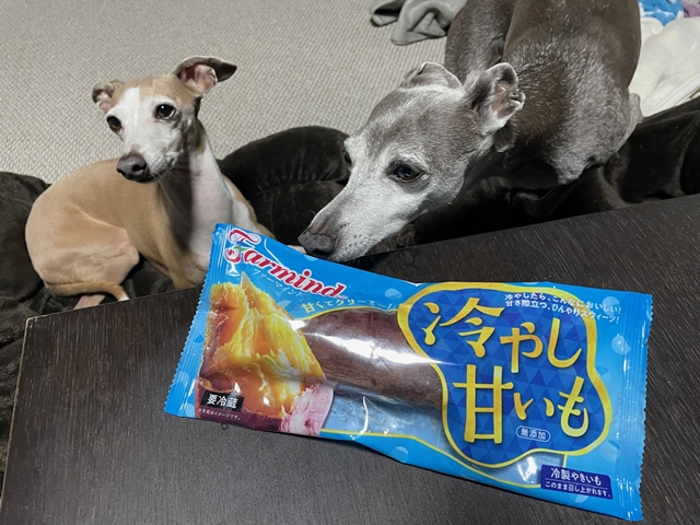 f:id:gino-ig:20220307235222j:plain