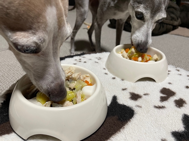 f:id:gino-ig:20220307235600j:plain