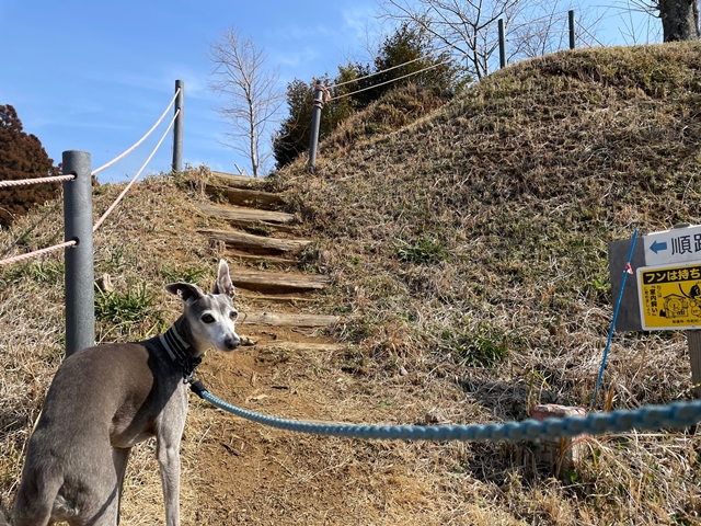 f:id:gino-ig:20220313222525j:plain