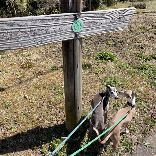 f:id:gino-ig:20220331010649j:plain