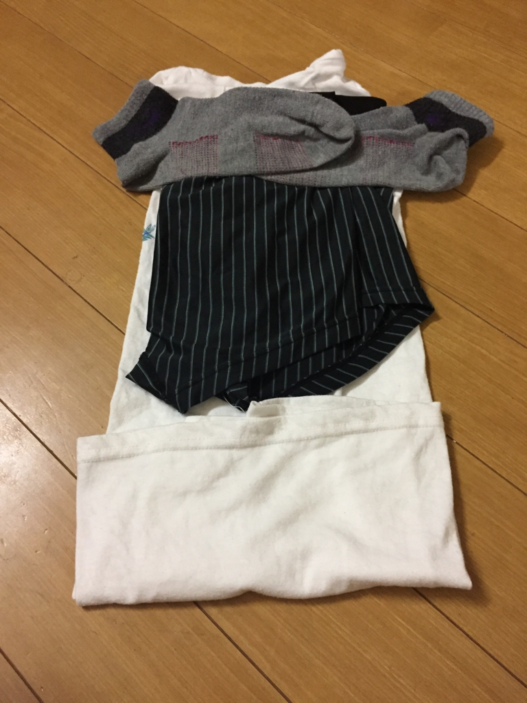 f:id:gino10mugi:20170522211015j:plain