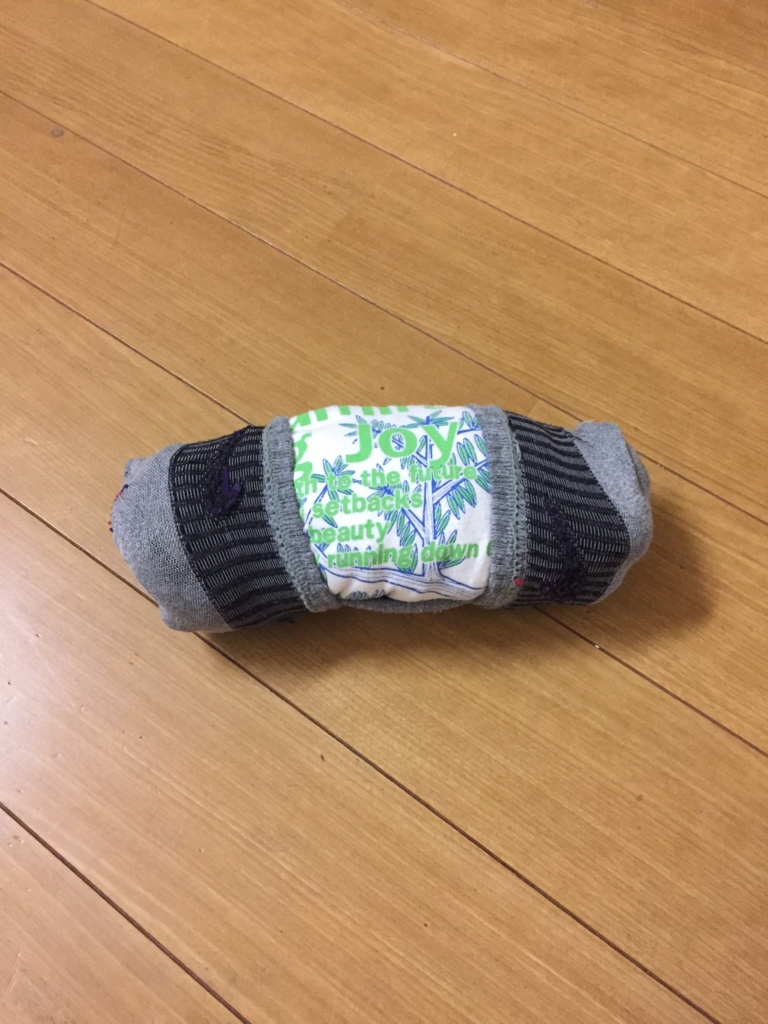 f:id:gino10mugi:20170522211110j:plain