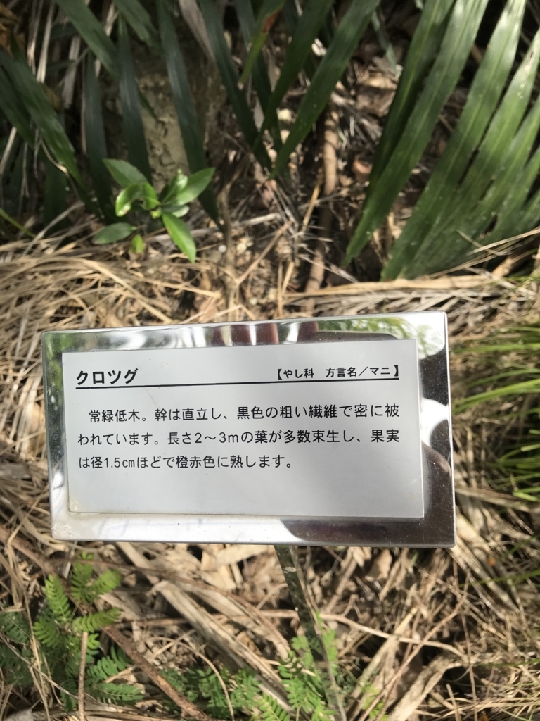 f:id:gino10mugi:20180715225406j:plain f:id:gino10mugi:20180715225406j:plain