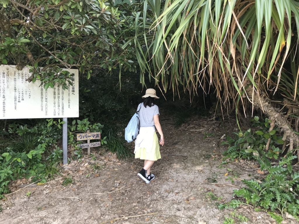 f:id:gino10mugi:20180715225818j:plain f:id:gino10mugi:20180715225818j:plain
