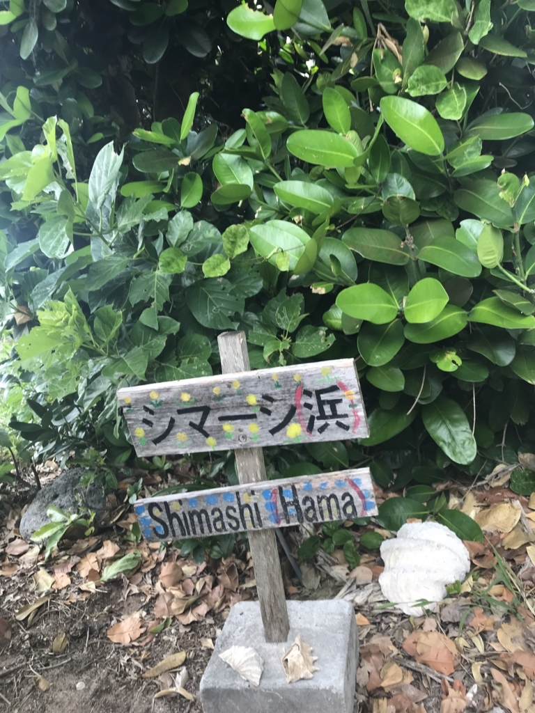 f:id:gino10mugi:20180715230158j:plain f:id:gino10mugi:20180715230158j:plain