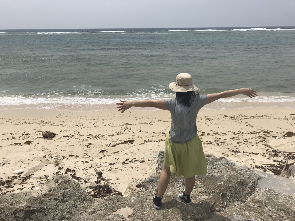 f:id:gino10mugi:20180715230408j:plain f:id:gino10mugi:20180715230408j:plain