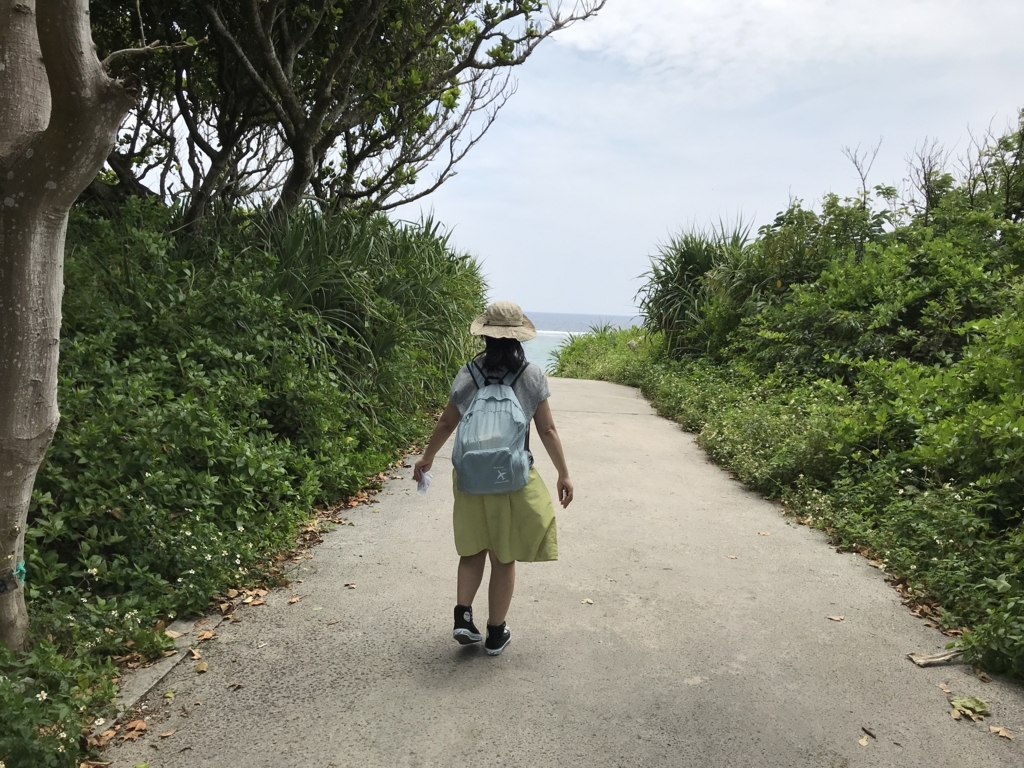 f:id:gino10mugi:20180715231842j:plain f:id:gino10mugi:20180715231842j:plain
