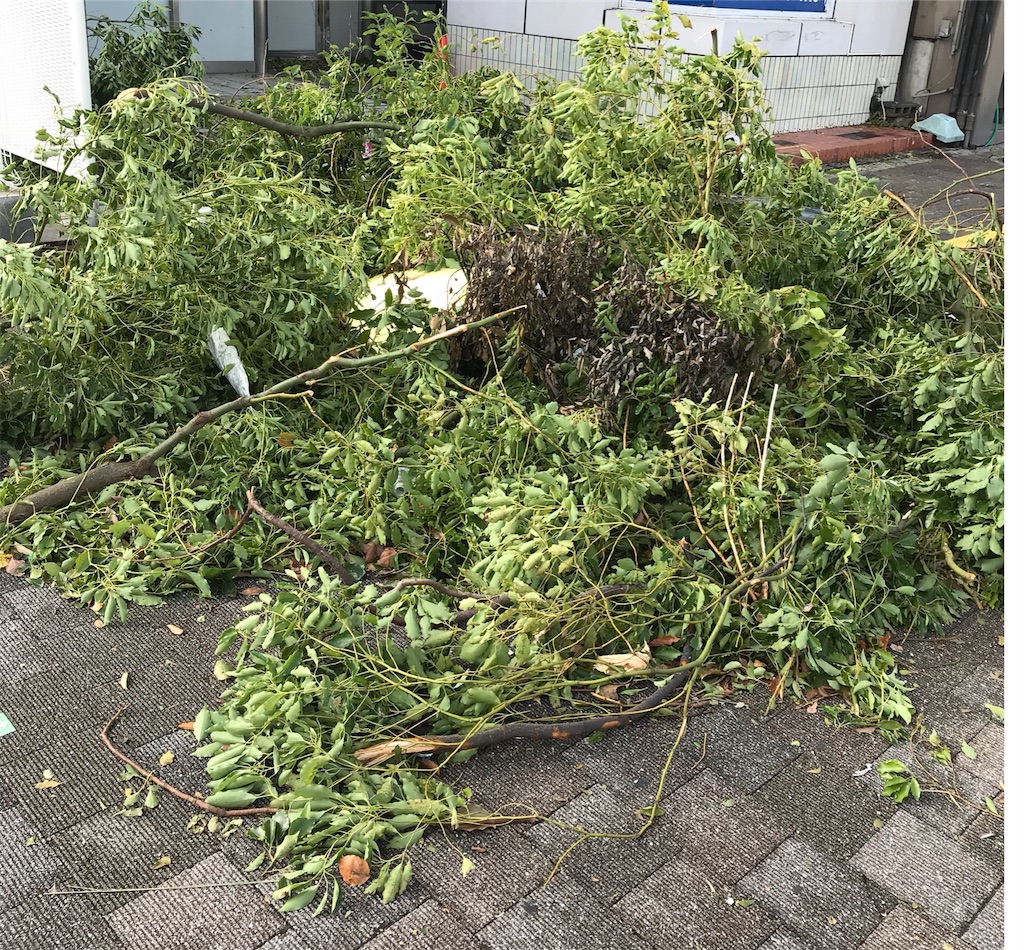 f:id:gino10mugi:20180908194412j:image f:id:gino10mugi:20180908194412j:image