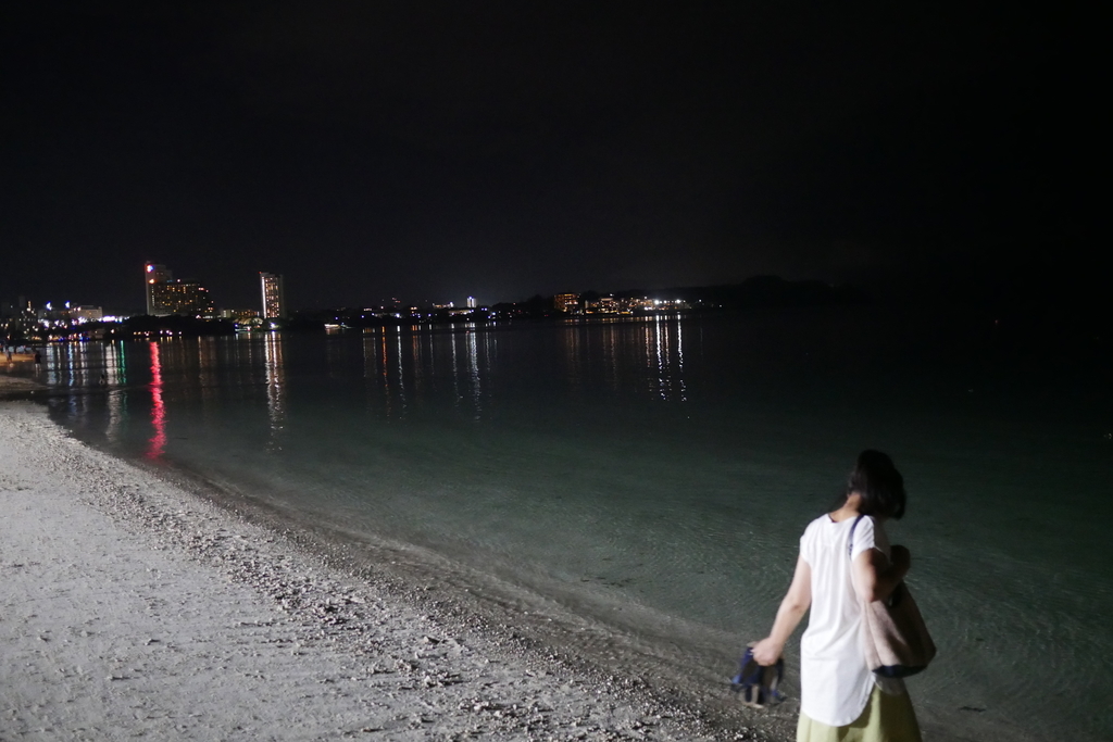 f:id:gino10mugi:20180916145857j:plain