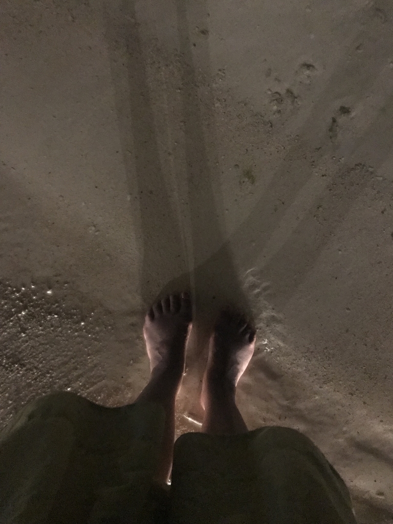 f:id:gino10mugi:20180916150051j:plain
