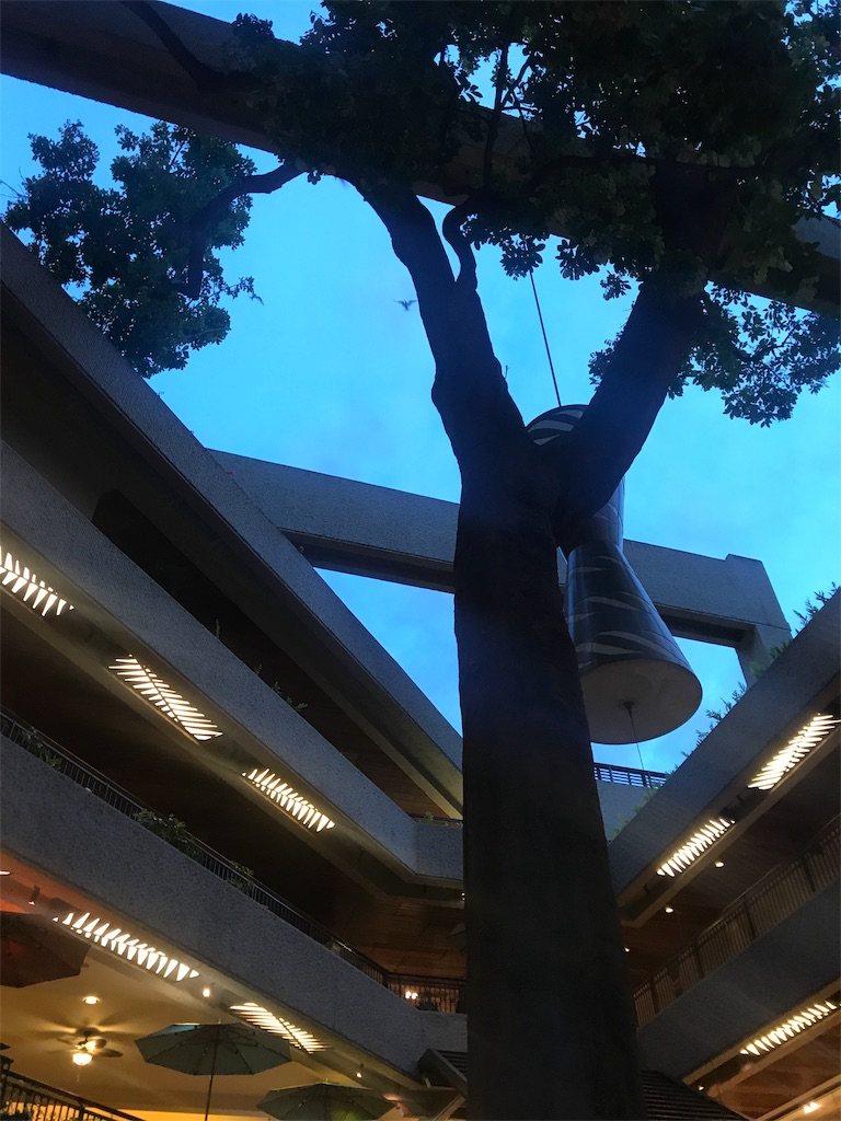 f:id:gino10mugi:20190428094236j:image