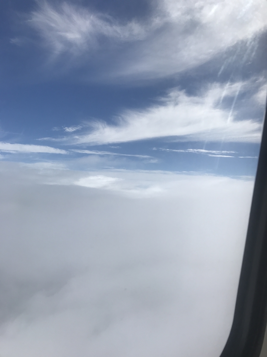 f:id:gino10mugi:20190713174538j:plain