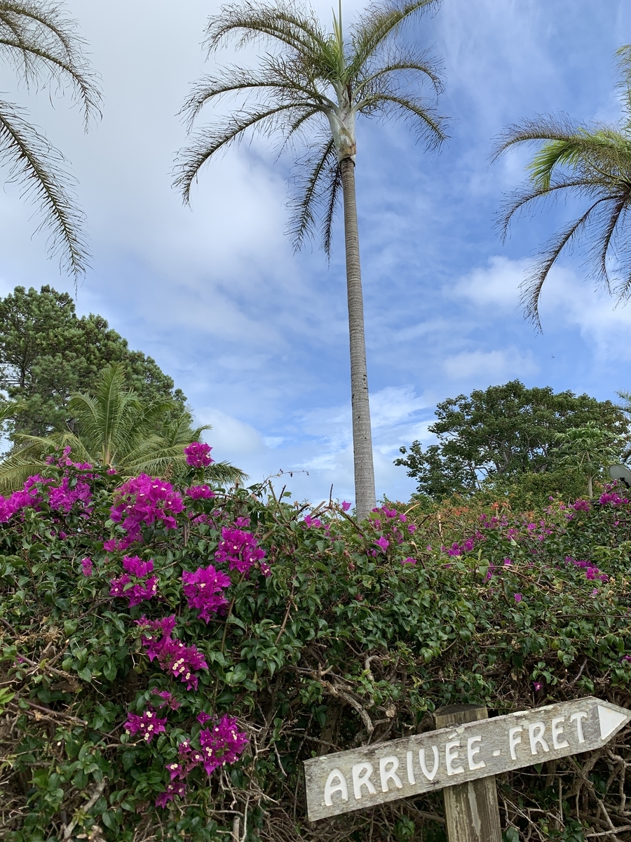 f:id:gino10mugi:20190713174624j:plain