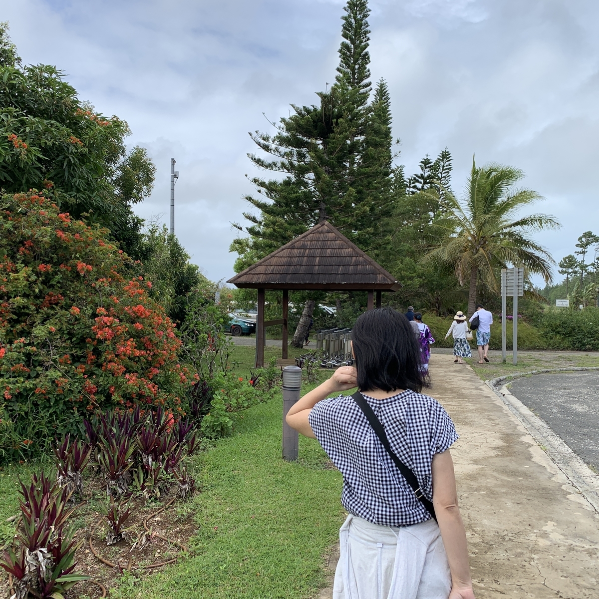 f:id:gino10mugi:20190713174649j:plain