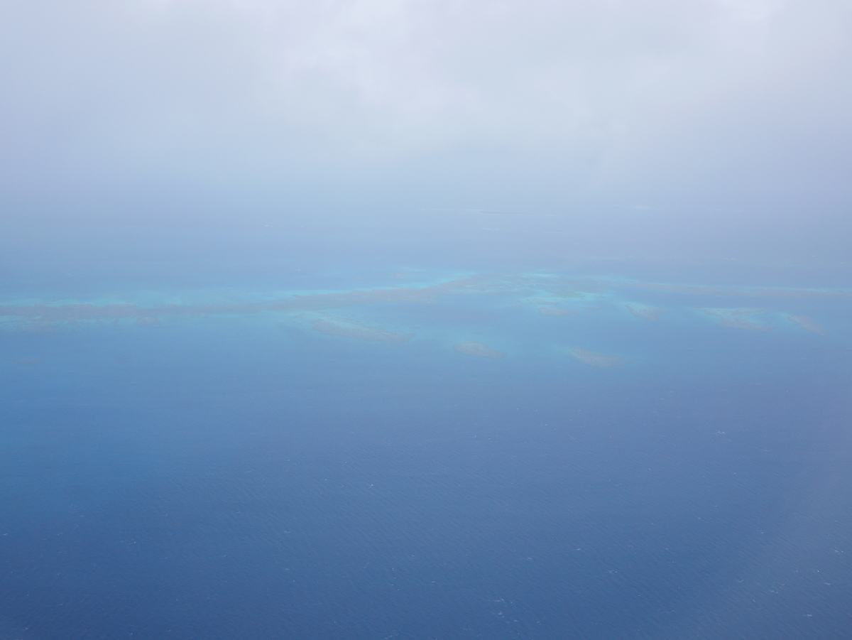 f:id:gino10mugi:20190713174725j:plain
