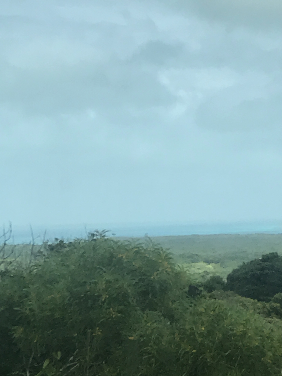 f:id:gino10mugi:20190713175530j:plain f:id:gino10mugi:20190713175530j:plain