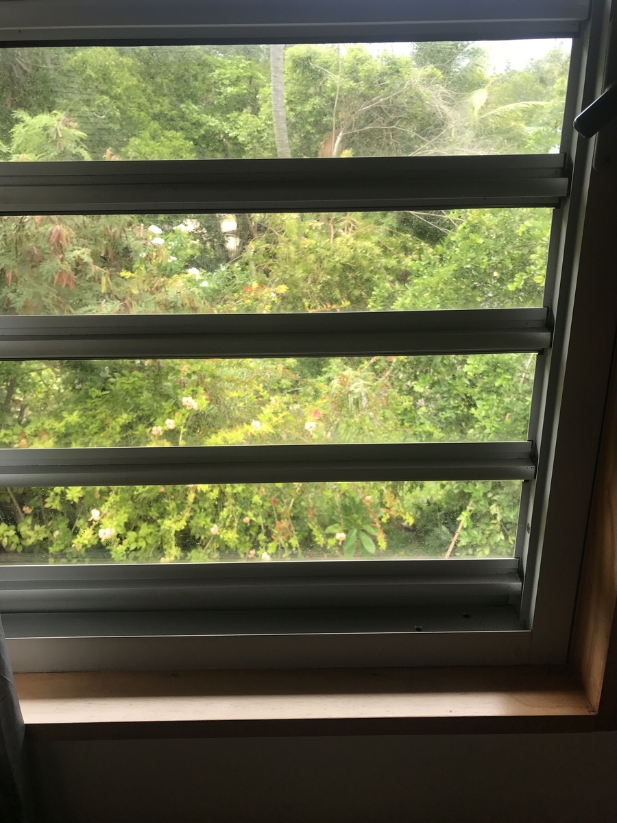f:id:gino10mugi:20190713175833j:plain