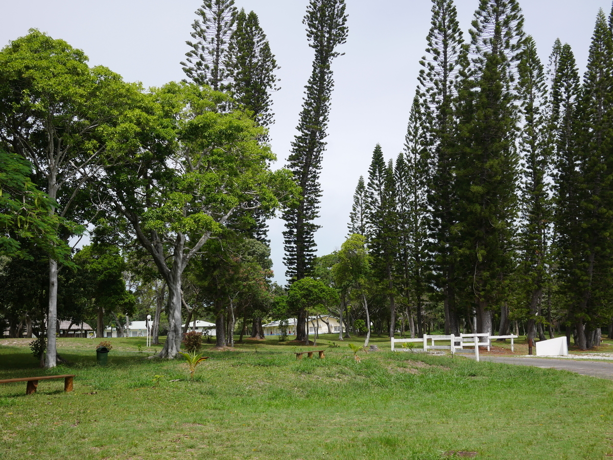 f:id:gino10mugi:20190713190946j:plain