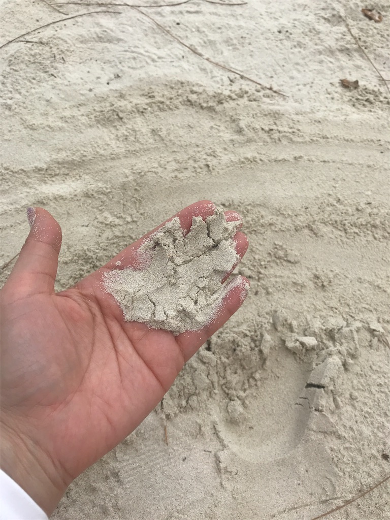 f:id:gino10mugi:20190719063040j:image f:id:gino10mugi:20190719063040j:image