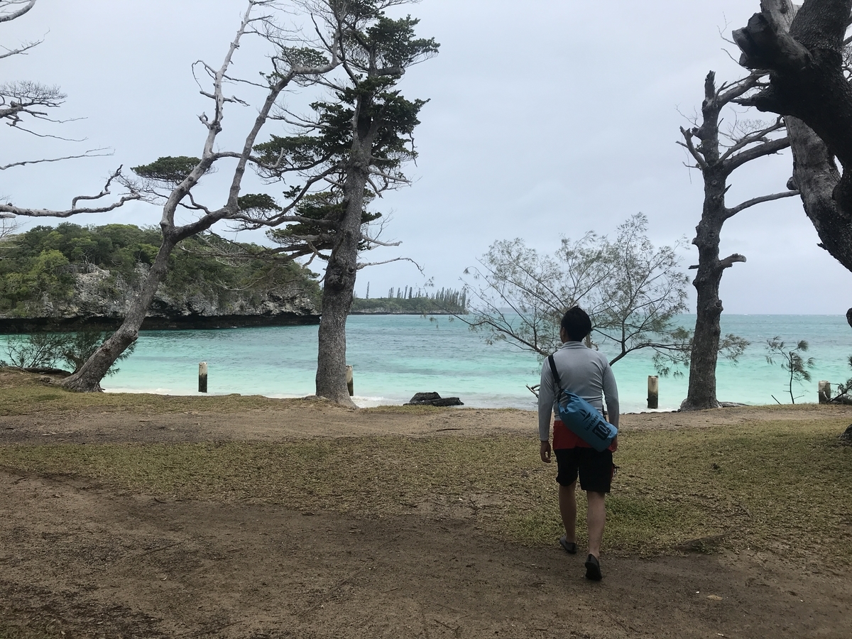 f:id:gino10mugi:20190720103550j:plain