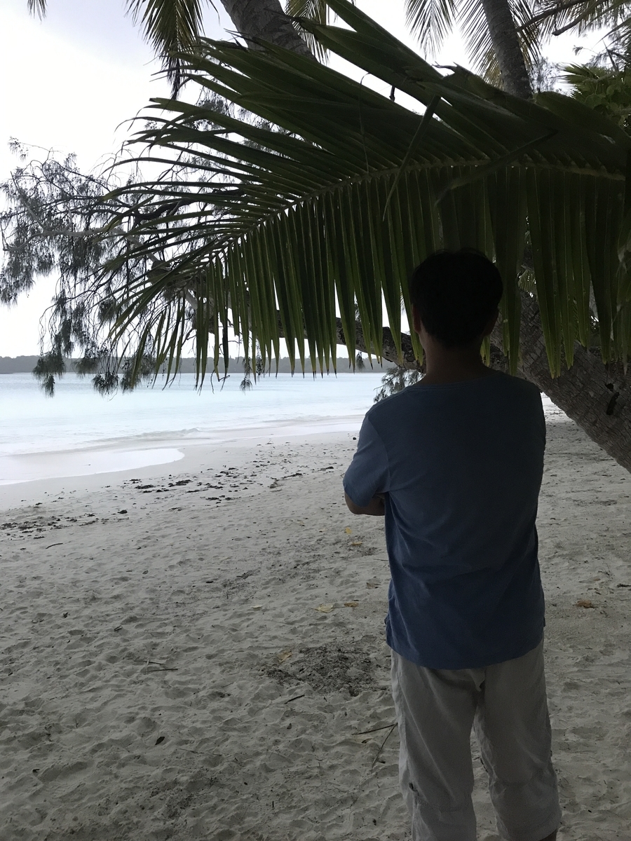 f:id:gino10mugi:20190728140857j:plain