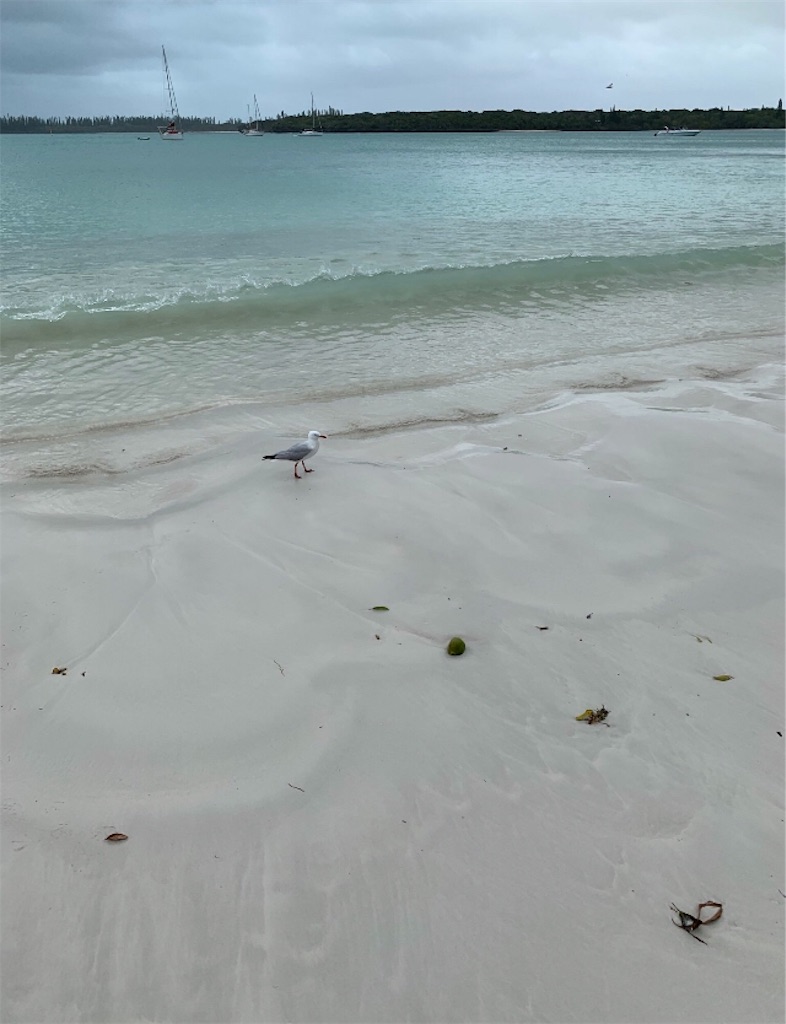 f:id:gino10mugi:20190728161820j:image
