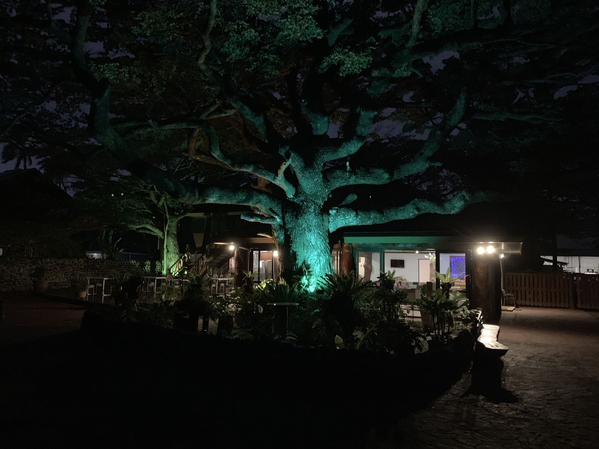 f:id:gino10mugi:20190730204623j:plain