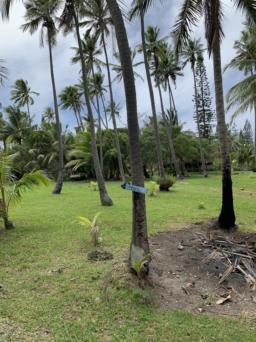 f:id:gino10mugi:20190802195526j:plain