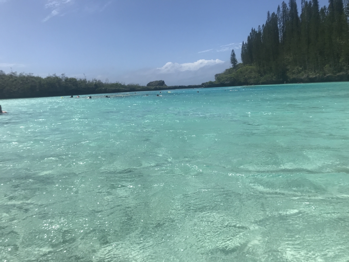 f:id:gino10mugi:20190802202010j:plain