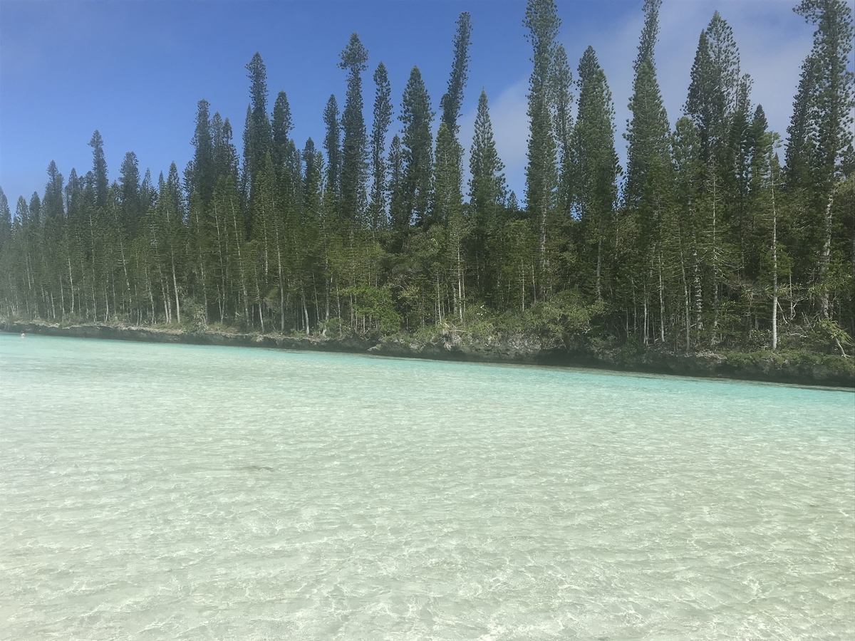 f:id:gino10mugi:20190802202145j:plain