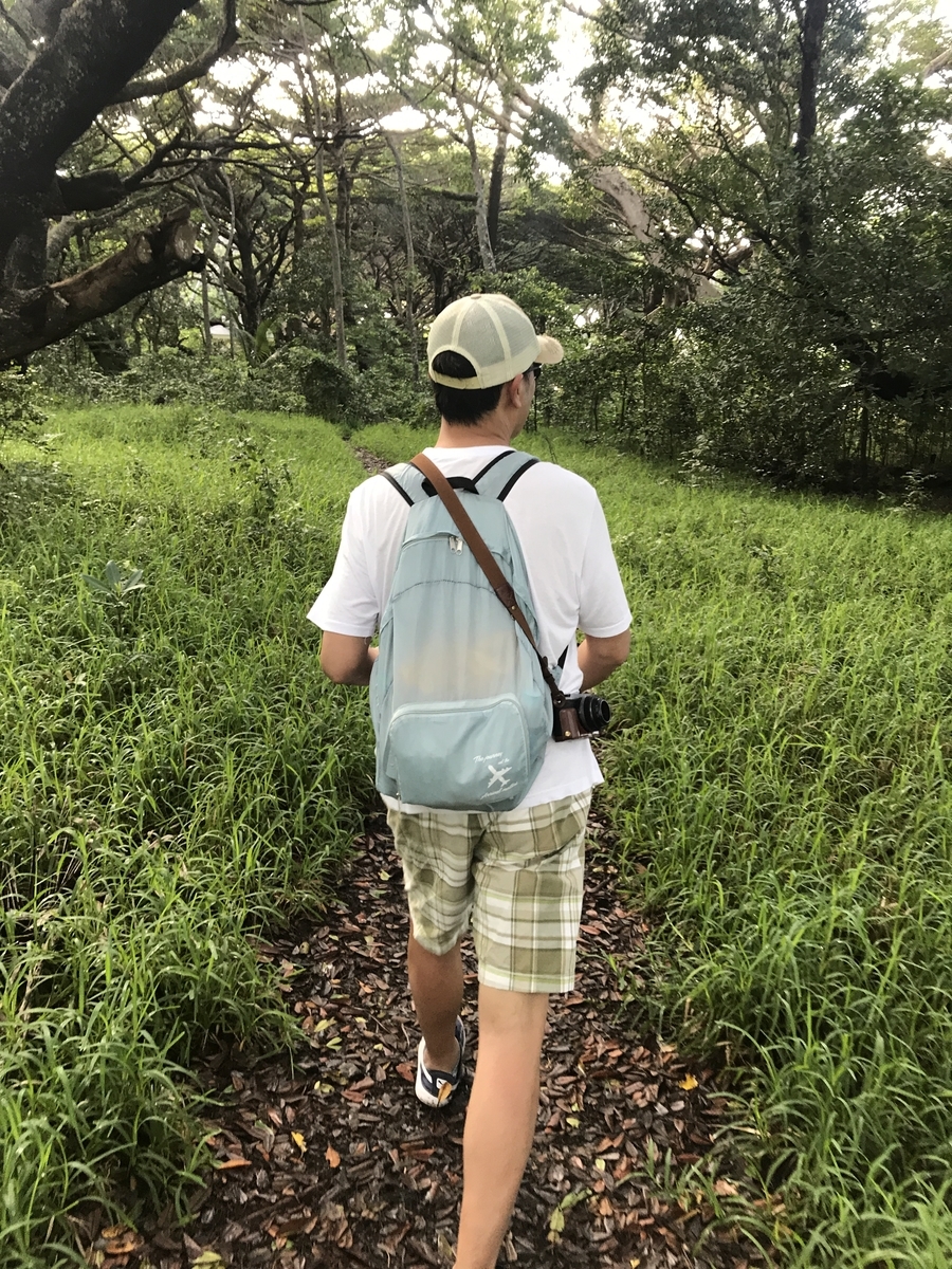 f:id:gino10mugi:20190804182545j:plain f:id:gino10mugi:20190804182545j:plain