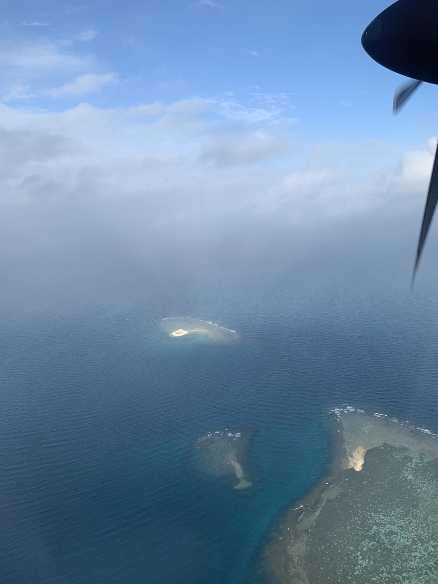 f:id:gino10mugi:20190810181537j:plain
