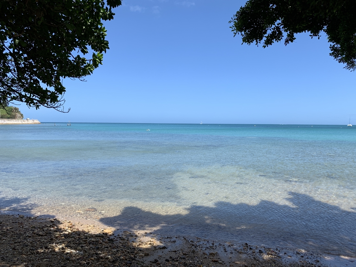 f:id:gino10mugi:20190818081013j:plain