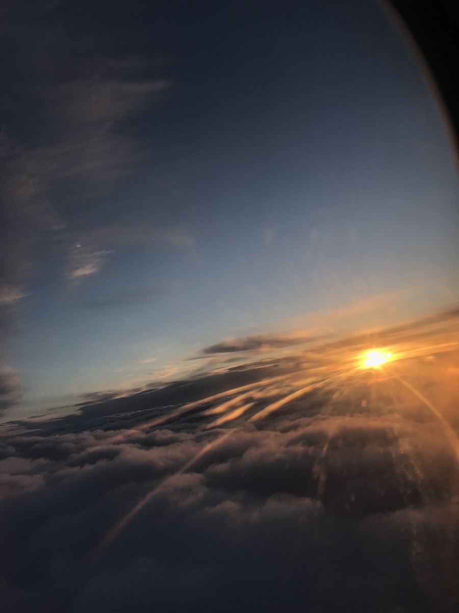 f:id:gino10mugi:20190818083847j:plain