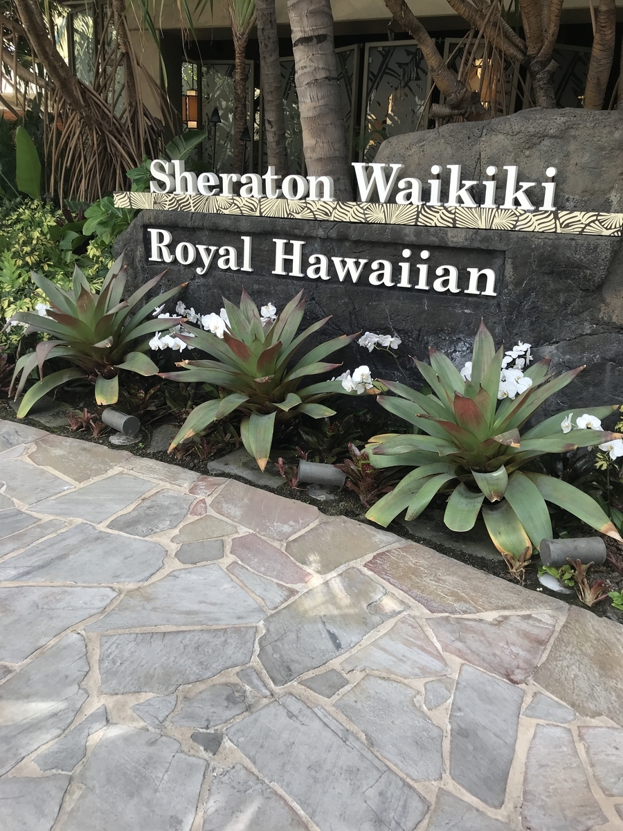 f:id:gino10mugi:20190922215425j:plain f:id:gino10mugi:20190922215425j:plain