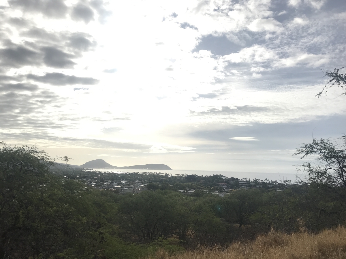 f:id:gino10mugi:20191110200448j:plain