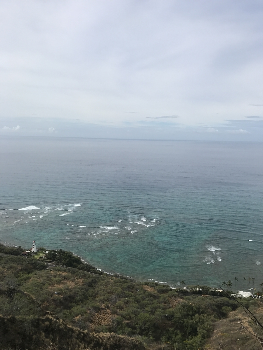 f:id:gino10mugi:20191110203929j:plain