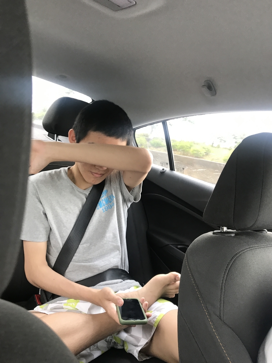 f:id:gino10mugi:20191201113319j:plain f:id:gino10mugi:20191201113319j:plain