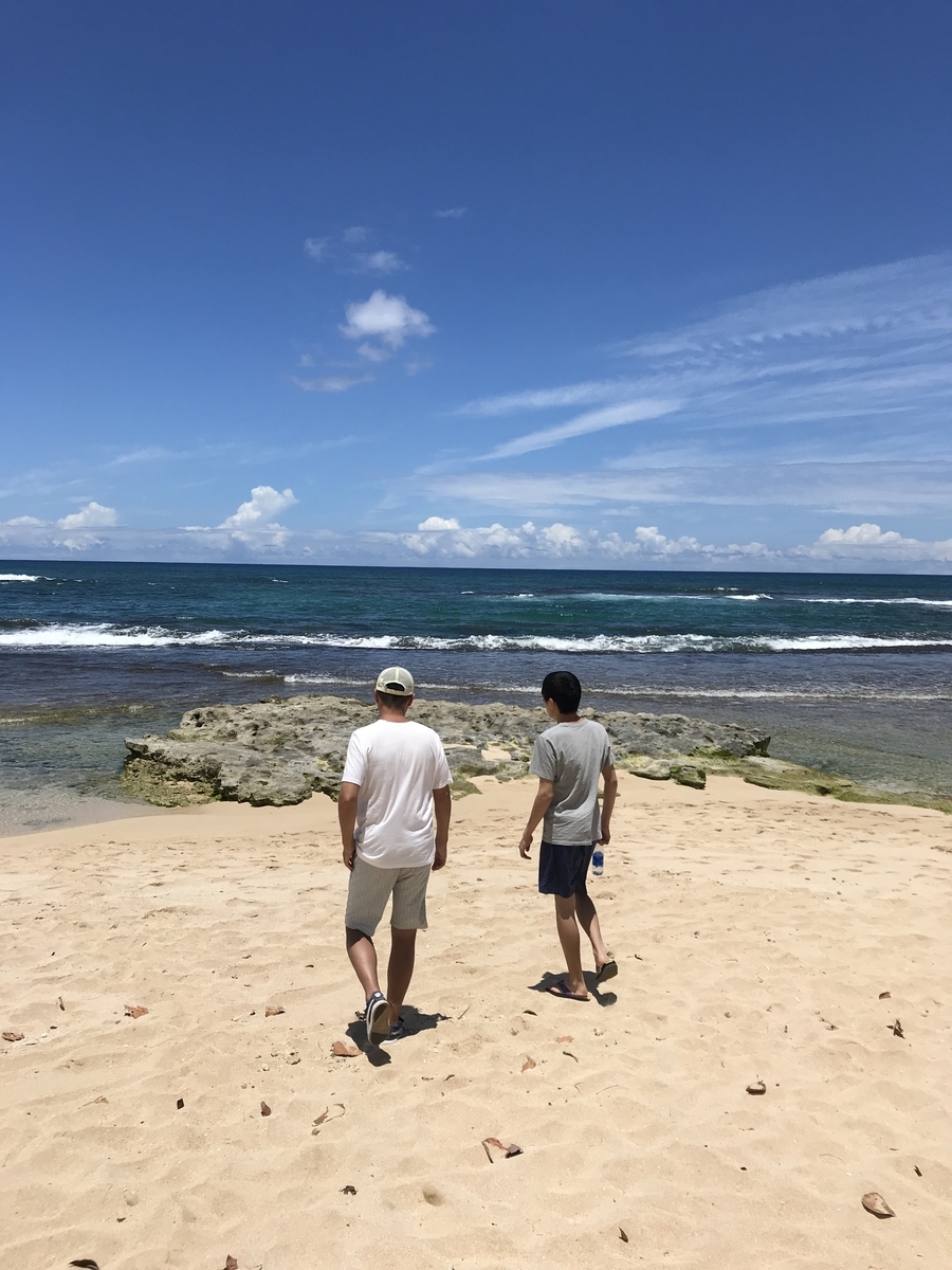 f:id:gino10mugi:20191209224516j:plain