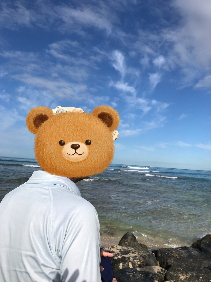 f:id:gino10mugi:20191227093953j:plain