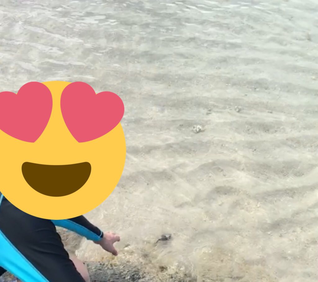 f:id:gino10mugi:20191227093959j:plain