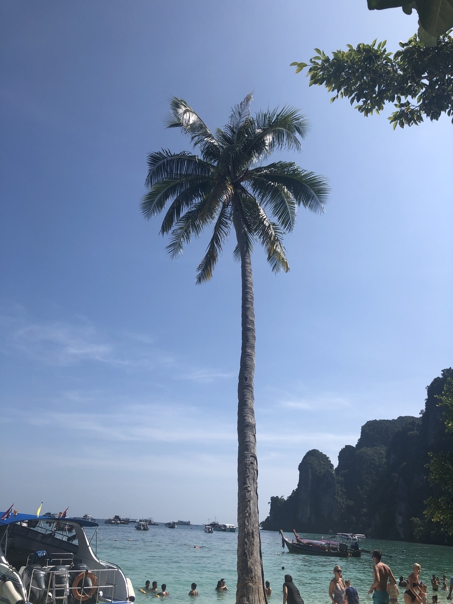 f:id:gino10mugi:20200426152330j:plain f:id:gino10mugi:20200426152330j:plain