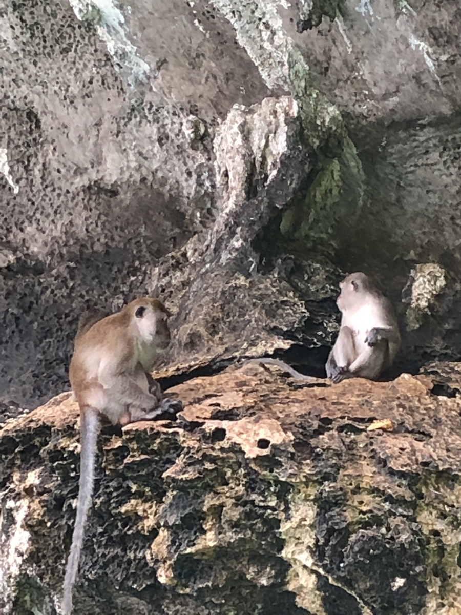 f:id:gino10mugi:20200426152925j:plain f:id:gino10mugi:20200426152925j:plain