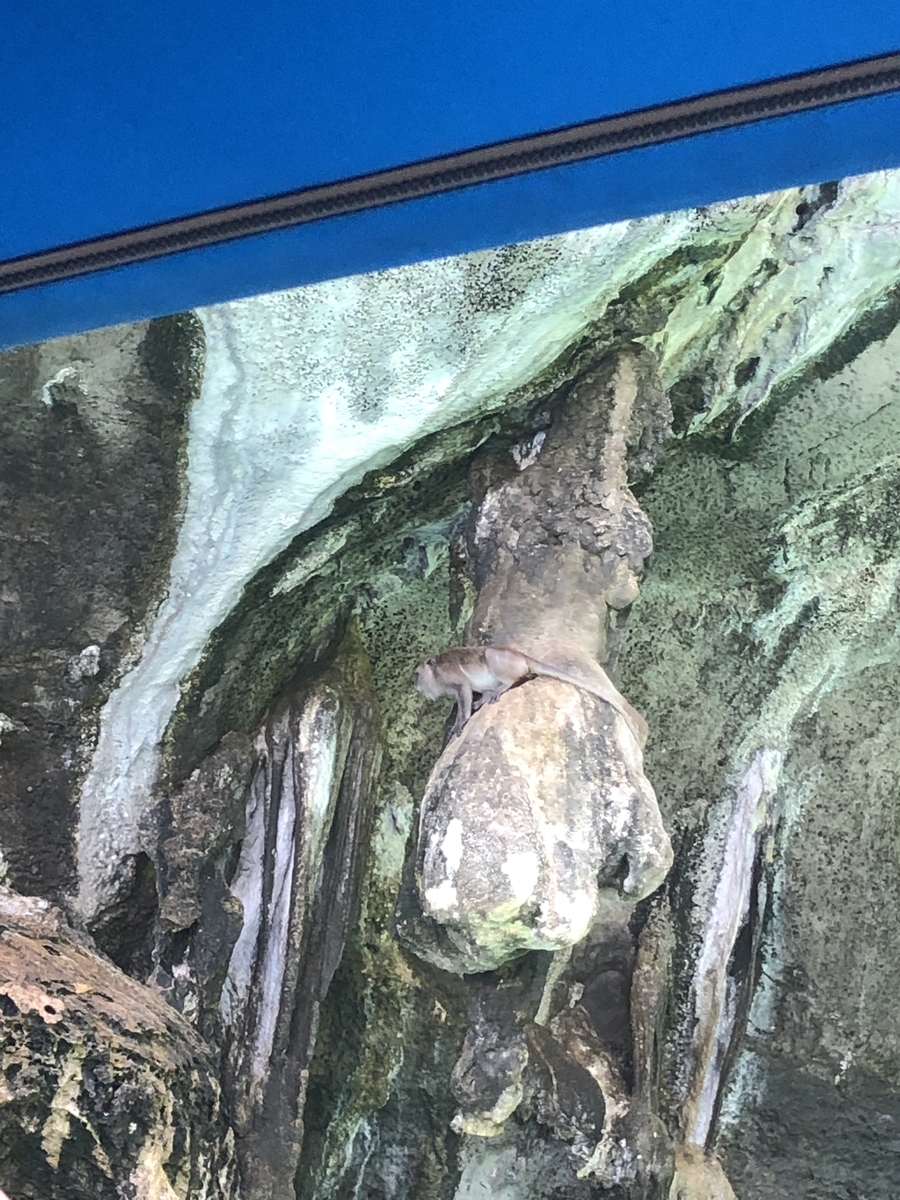 f:id:gino10mugi:20200426152927j:plain f:id:gino10mugi:20200426152927j:plain