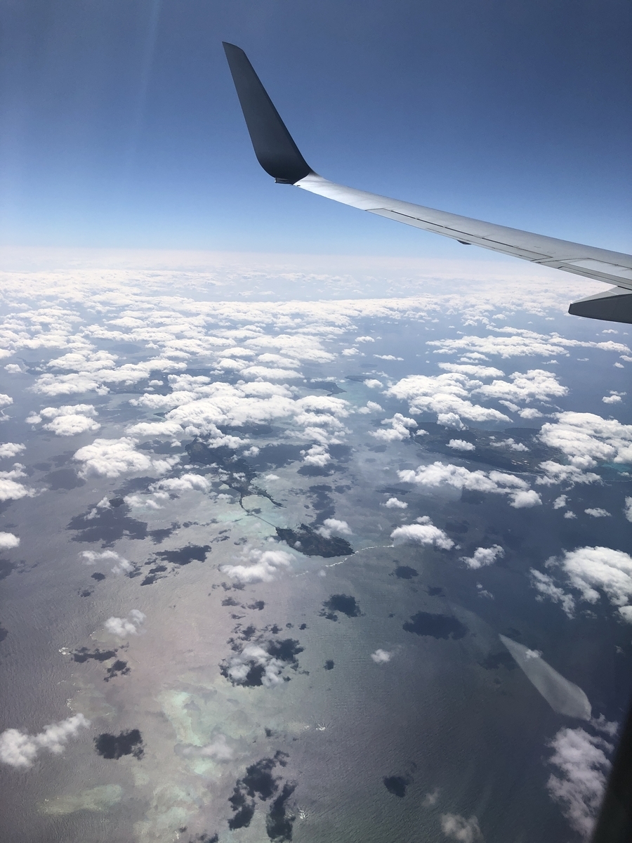 f:id:gino10mugi:20200529155654j:plain