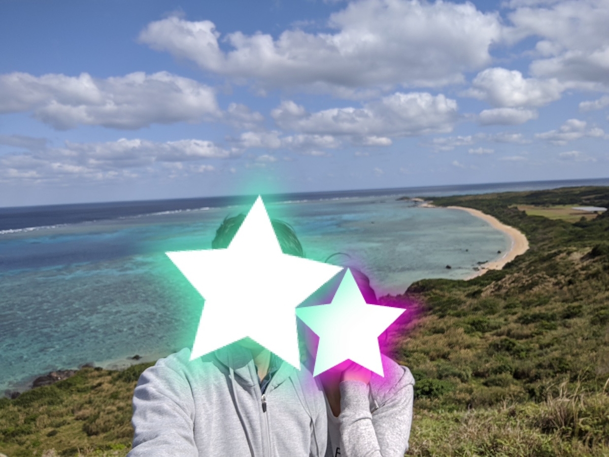 f:id:gino10mugi:20200531133717j:plain